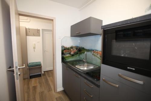马里博尔Elegant central Apt Maribor w/Parking的厨房配有水槽和微波炉