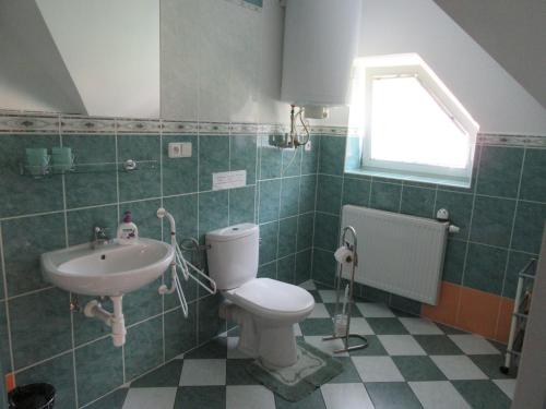 扬斯凯拉兹涅德沃拉库公寓的一间带卫生间和水槽的浴室