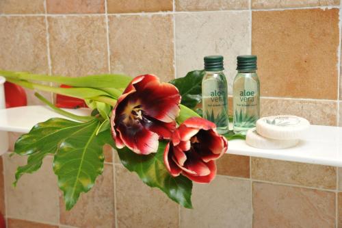 安泰伊-萨伊恩特-安德尔埃贝尔维尤住宅酒店的浴室架上摆放着两瓶肥皂和一朵花