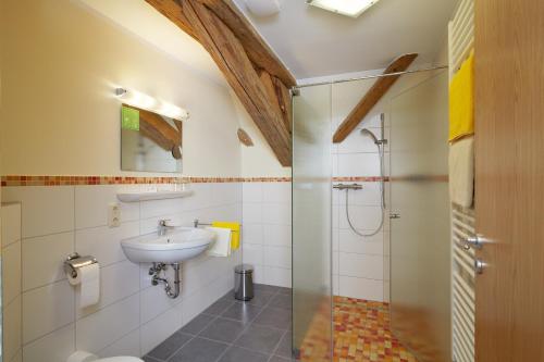 丁克尔斯比尔Gasthof Goldenes Rössle的一间带水槽和淋浴的浴室