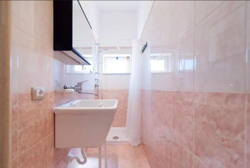 TrepuzziLa Terra的一间带水槽和淋浴的浴室