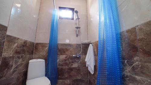 查克维Hotel Chakvi的浴室设有卫生间和蓝色的浴帘。