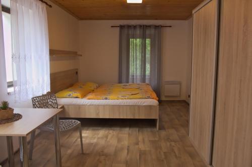 Mikulov v Krušných HoráchPenzion Hubert的一间卧室配有一张床、一张桌子和一个窗户。