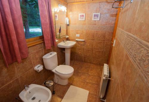 圣马丁德洛斯Cabañas Pista Uno Ski Village的一间带卫生间和水槽的小浴室