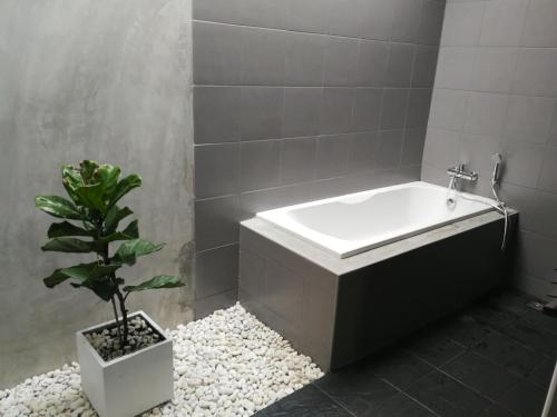 清迈M.I.N.D.别墅公寓-SHA Plus的带浴缸的浴室,种植了盆栽植物