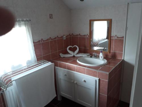 伦蒂Rózsa apartman的一间带水槽和镜子的浴室