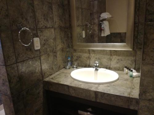 约翰内斯堡南方凯瑟琳大街酒店的一间带水槽和镜子的浴室