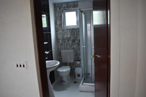 ElshaniShoposki Guest House的一间带卫生间和水槽的浴室
