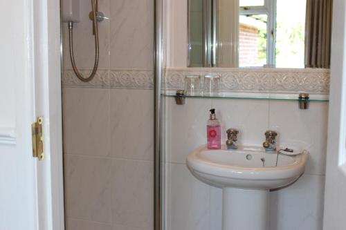 BroadstoneHoney Lodge的浴室配有盥洗盆和带镜子的淋浴