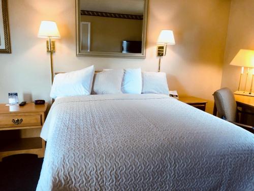 科迪科迪霍斯特经济酒店的配有一张大床和镜子的酒店客房