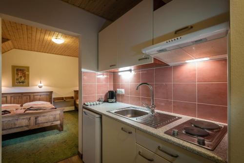 特尔乔夫卢卡膳食公寓的厨房配有水槽和台面