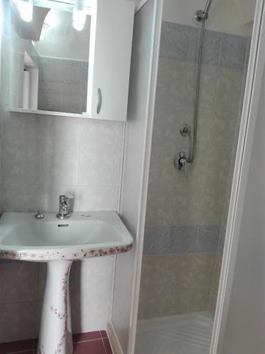 曼杜里亚Casa davide的一间带水槽和淋浴的浴室