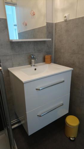 利布尔讷Agreable appartement proche Gare的浴室设有白色水槽和镜子
