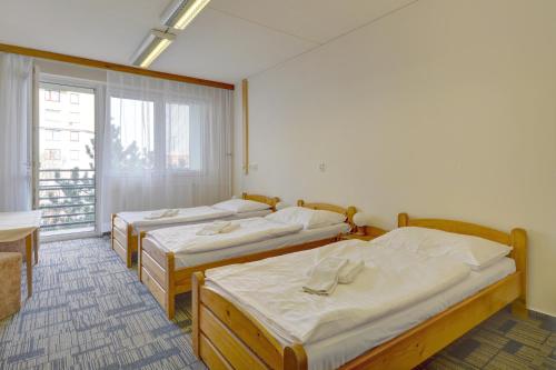 布拉格伏尔加酒店的带窗户的客房内的三张床