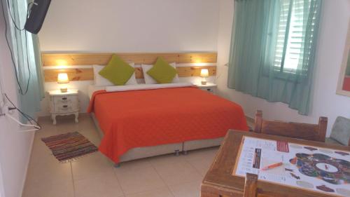 埃利法兹Elifaz Desert Experience Holiday的一间卧室配有一张带红色毯子和绿色枕头的床。