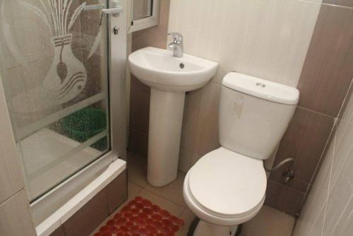 伊凯贾Chantella Suites的一间带卫生间和水槽的小浴室