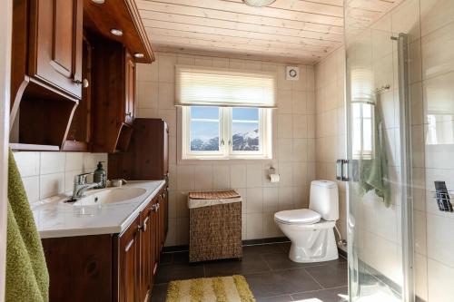 斯特兰达Valley View的一间带水槽和卫生间的浴室以及窗户。