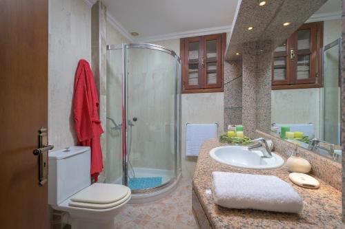 罗德镇Haraki Sea View Luxury House的浴室配有卫生间、盥洗盆和淋浴。