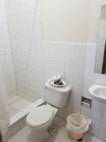 哈拉瓦科阿Hostel Quintonido的白色的浴室设有卫生间和水槽。