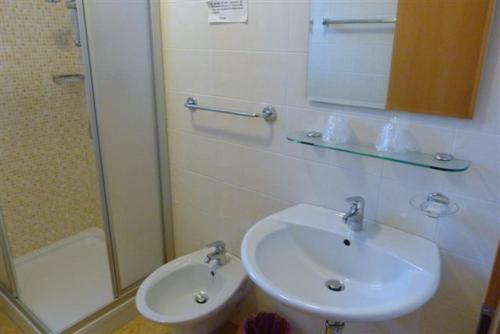 布列瑟农克雷莫纳加尼旅馆的一间带水槽和淋浴的浴室