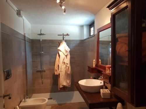 奥斯塔La Tavernetta的一间带水槽和淋浴的浴室