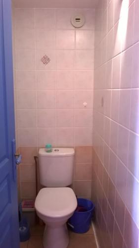 韦尔东的圣克鲁瓦les Hauts du Lac的浴室设有白色卫生间和粉红色瓷砖。