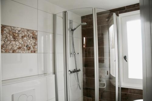 雷讷瑟Bed & Breakfast Zeeland的带淋浴的浴室和玻璃门
