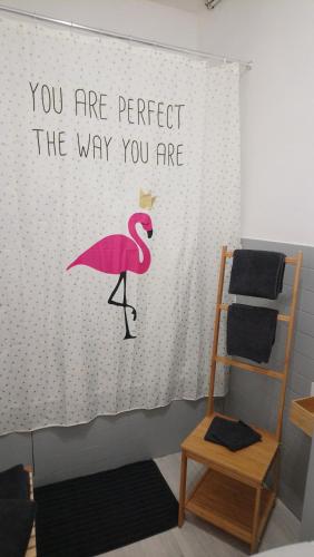 利布尔讷Studio cosy proche Gare的墙上有粉红色火烈鸟标志