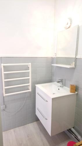 利布尔讷Studio cosy proche Gare的白色的浴室设有水槽和镜子