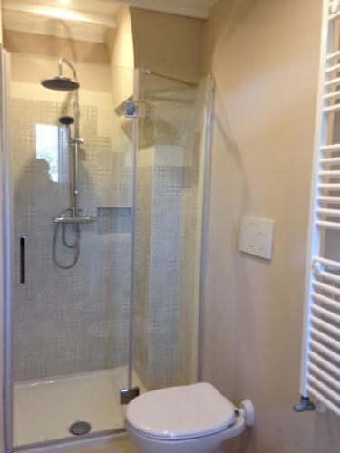 库特罗菲安诺I fichi bianchi的带淋浴、卫生间和玻璃淋浴间的浴室