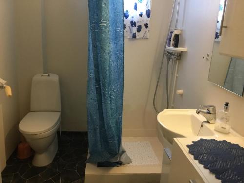 安德内斯Kong Hans gt. 28的浴室设有蓝色的淋浴帘和卫生间