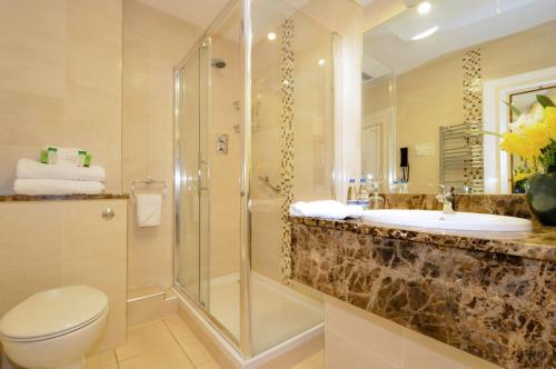戈尔韦阿迪兰豪斯酒店的一间带水槽、淋浴和卫生间的浴室
