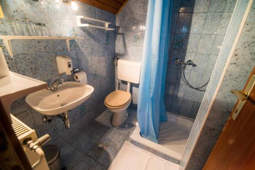 博希尼Bed & Breakfast Hisa Resje的一间带水槽、卫生间和淋浴的浴室