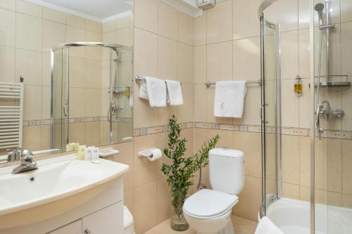 普雷代亚尔容姿玛日娜酒店的浴室配有卫生间、盥洗盆和淋浴。