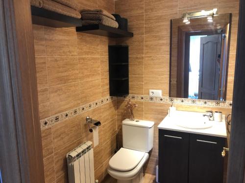佐瑞奎Apartamento Ezcaray con Piscina的一间带卫生间、水槽和镜子的浴室