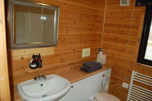 基林Luxury woodland Oak Lodge的一间带水槽、镜子和卫生间的浴室