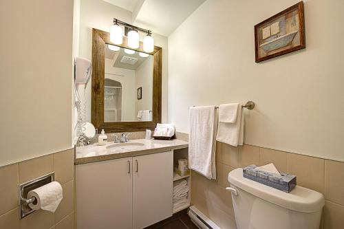 蒙特朗布朗蒙特朗布朗度假酒店的一间带卫生间、水槽和镜子的浴室