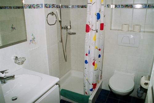 Hasliberg Wasserwendi布拉提公寓的带淋浴、卫生间和盥洗盆的浴室