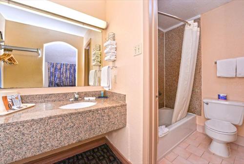 休斯顿NRG公园附近-医疗中心伊克诺旅馆的一间带水槽、卫生间和镜子的浴室