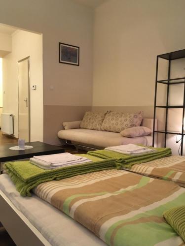 布达佩斯Arany Janos Apartman的一间带两张床和一张沙发的客厅