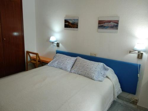 塞内斯德拉韦加Nevada Apartaments的一间卧室配有一张带两个枕头的床