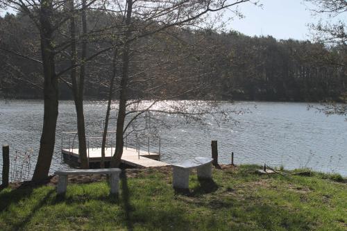 滨湖克拉科Ferienpark Kunterbunt的坐在湖面上码头旁的长凳