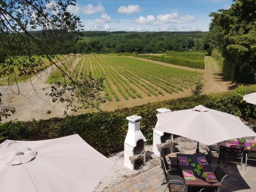 弗朗科尔尚Cozy Holiday Home in Francorchamps Belgium的一个带遮阳伞的户外庭院,享有葡萄园的景色