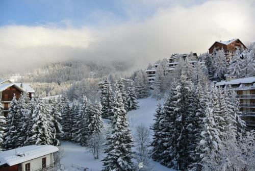 冬天的阿尔卑斯旅馆