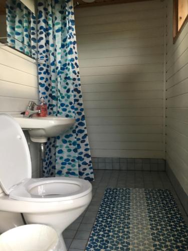 凯里迈基Ollila Rantamökit的浴室设有卫生间和蓝色的浴帘。