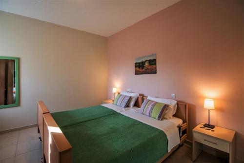 AyiáAksos Suites Accessible Accommodation的一间卧室配有一张带绿毯的大床