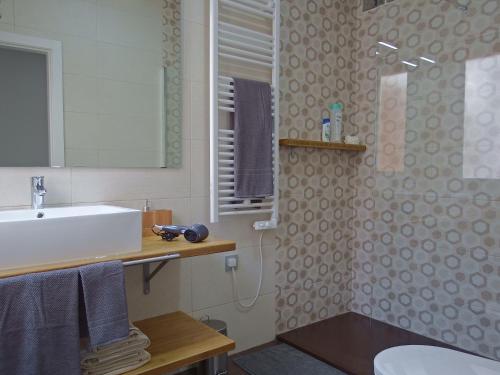 阿尔玛格鲁La Encomienda de Almagro的一间带水槽和淋浴的浴室