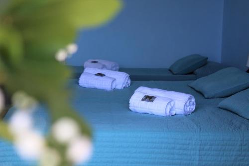 新马克立尼柔斯酒店的蓝色房间床上的两条毛巾