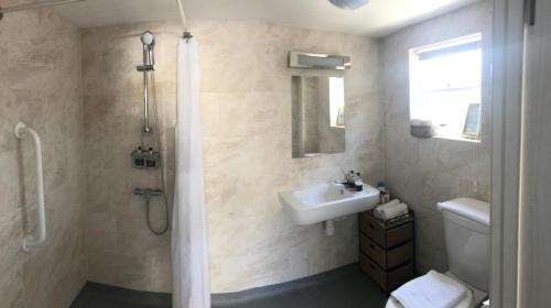 布雷肯Borderers Inn的一间带水槽、卫生间和淋浴的浴室
