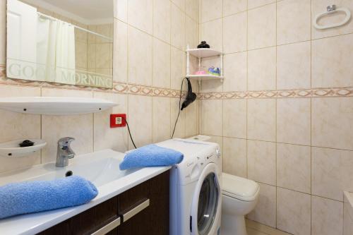 阿罗纳Parque Santiago 2 apartamento 410的一间带洗衣机的盥洗盆浴室